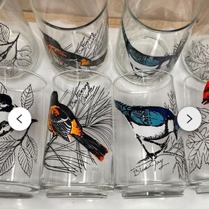 Set of Bird Design Glasses